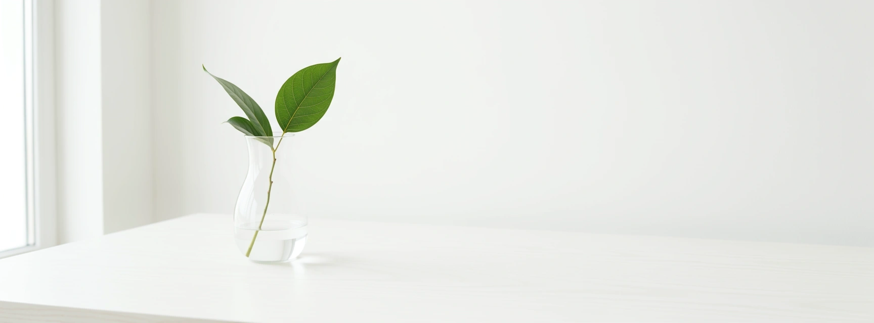 Прозрачност и сигурност